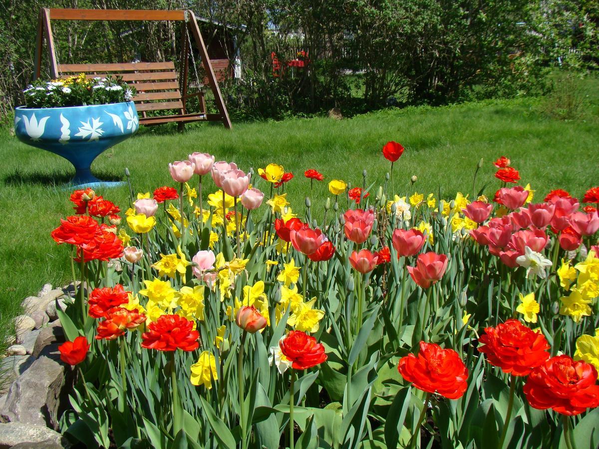 Wonderful Home Bodafors Dış mekan fotoğraf