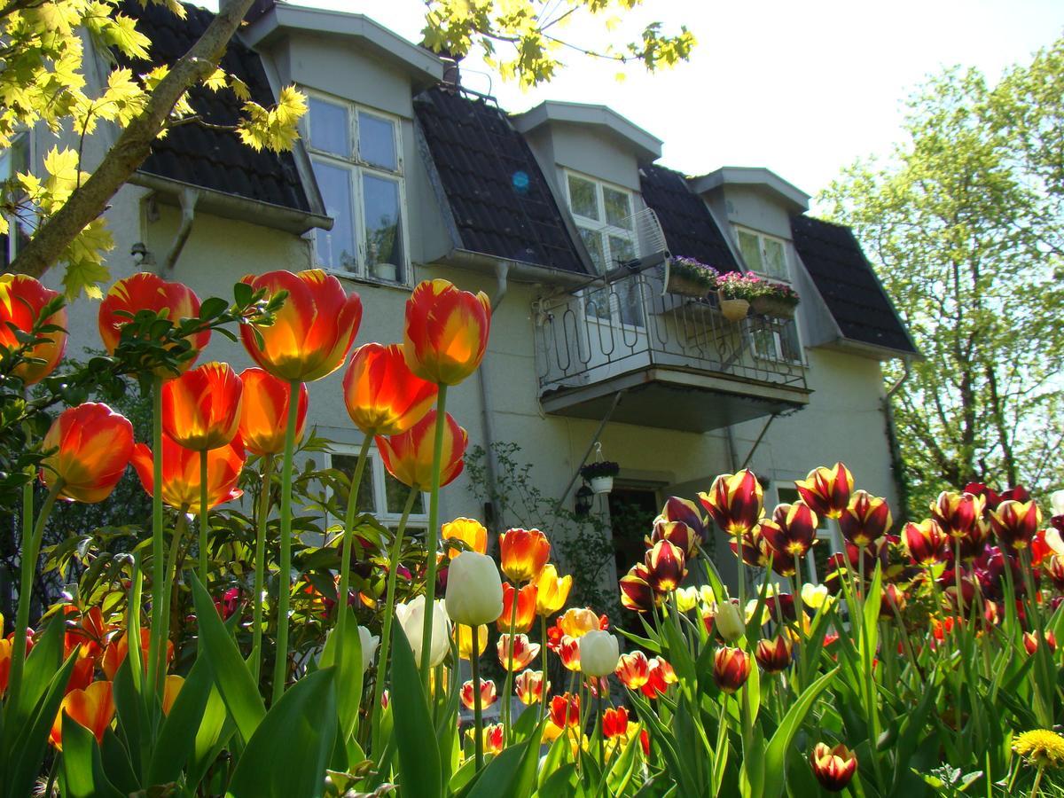 Wonderful Home Bodafors Dış mekan fotoğraf