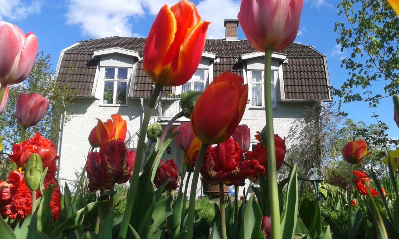 Wonderful Home Bodafors Dış mekan fotoğraf